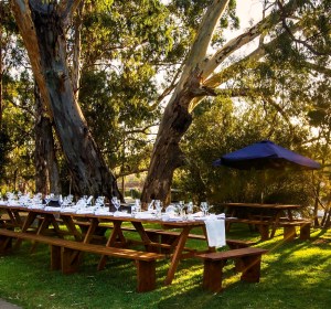 Treasure of South Australia: A brewery tour or regional South Australia