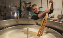 Grain and Grape fresh wort kits