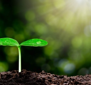 DB Breweries announces bold sustainability ambitions