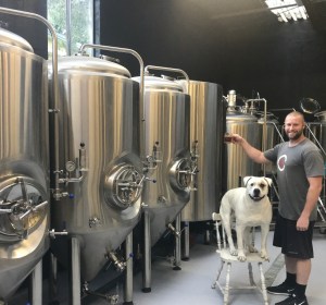 Staves Brewery claims Champion Draught Beer at Sydney Royal