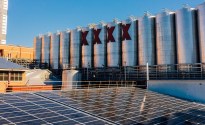 Lions makes 100% renewable electricity pledge