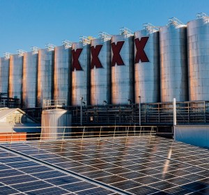 Lions makes 100% renewable electricity pledge