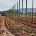 New Fall & Rise brewery launches in Melbourne