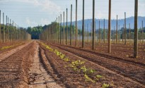 HPA completes phase one of $35 million expansion