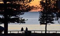 Let the Sunshine in! Regional Brewery Series heads to the Sunshine Coast