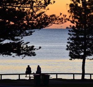 Let the Sunshine in! Regional Brewery Series heads to the Sunshine Coast