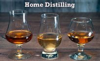 Distilling courses with Australia Online Courses