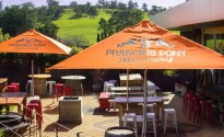 Prancing Pony to challenge ‘wrongly applied’ directive