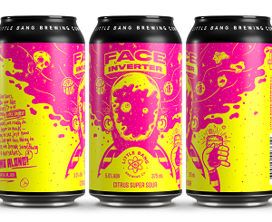 Little Bang wins the GABS design award