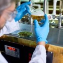 The science of beer and brewing