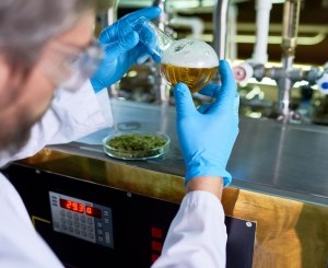 The science of beer and brewing