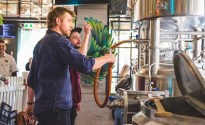 The profitable business of brewing your own beer