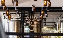 First ever Surfers Paradise brewpub opens