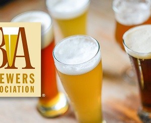 New Zealand Pale Ales added to style guide