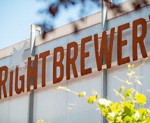Brewers get the good oil on Kiwi hops