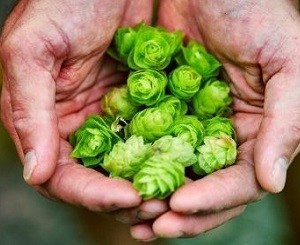 Get a hands on approach to making beer