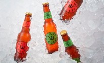 Tribe up stake in growing GF beer market