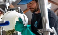 Aussie beer starring Aussie hops ranked among world’s best