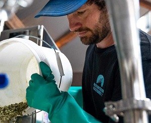 Aussie beer starring Aussie hops ranked among world’s best