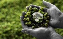HPA declare a ‘new normal’ greener future