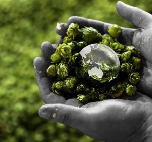 HPA declare a ‘new normal’ greener future