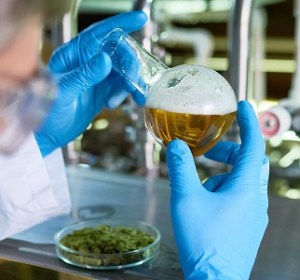 ABC seeking brewing beginners for TV show