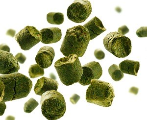 Cryo Pop: a ‘paradigm shift in brewer thought’