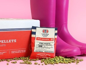 Cider Australia launch best selection awards