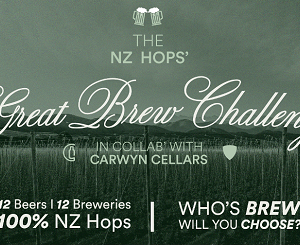 Beer box discount for Beer & Brewer readers