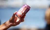 Little Creatures Freo Vice Raspberry Sour