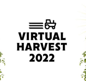Experience HPA’s hop harvest virtually