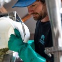 Mountain Culture trial ‘microdosing’ hopping regime
