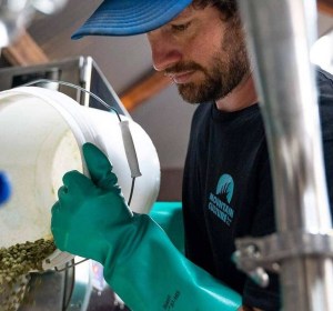 Mountain Culture trial ‘microdosing’ hopping regime