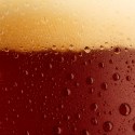 AusCider 2022 conference tickets now on sale