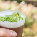 Festivals celebrating Australia’s hop harvest