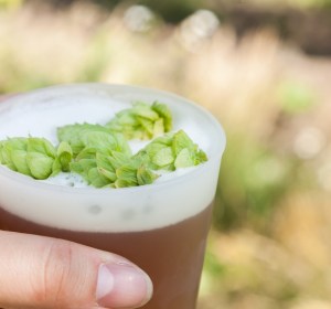 Festivals celebrating Australia’s hop harvest