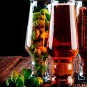 The Deep Dive: Harnessing hops