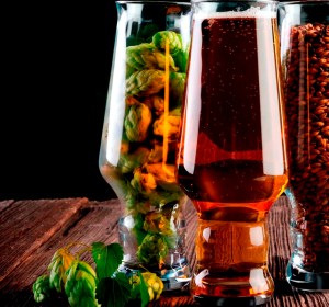 The Deep Dive: Harnessing hops