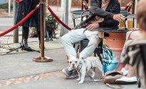 South Coast Ale Trail connects nine NSW breweries
