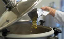 NZ Hops launch trial variety programme
