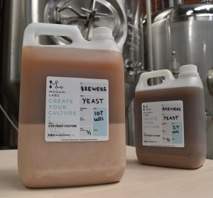 Yeast lab for craft brewers launches in NSW