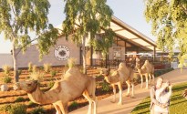 Spinifex Brewing get green light for Broome brewpub