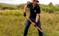 Capital continue Snowy Mountain planting program