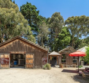 Red Hill Brewery put up for sale