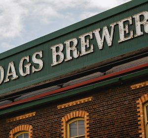 Lion backtracks on Boag’s visitor centre closure
