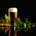 The top five tips for brewing better beer