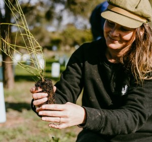 4 Pines announce ‘Tries 4 Trees’ initiative