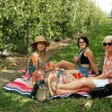 Mark Australian Cider Day this Saturday