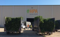 Eclipse on the rise in HPA’s 2023 crop report
