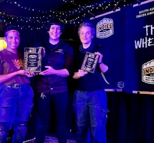 Indies Awards peer nominations now open